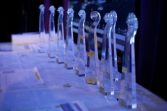 GFA2011_Farina_001s