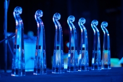 Golden Fiddle Awards, Tamworth January 26th, 2012