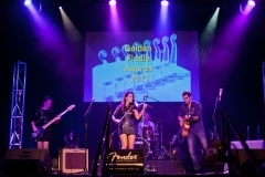 Golden Fiddle Awards, Tamworth Town Hall, 24.10.13