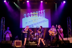 Golden Fiddle Awards, Tamworth Town Hall, 24.10.13