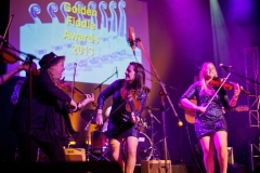 Golden Fiddle Awards, Tamworth Town Hall, 24.10.13