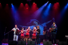 Golden Fiddle Concert_Capitol Theatre, Tamworth 21st January, 2015