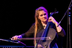 Golden Fiddle Awards Showcase