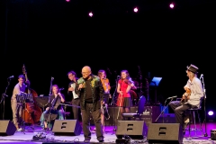 Golden Fiddle Awards Showcase