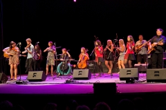 Golden Fiddle Awards Showcase